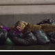 Image for article titled Giphy’s New Video Platform Pounds Another Nail In the Coffin of the GIF